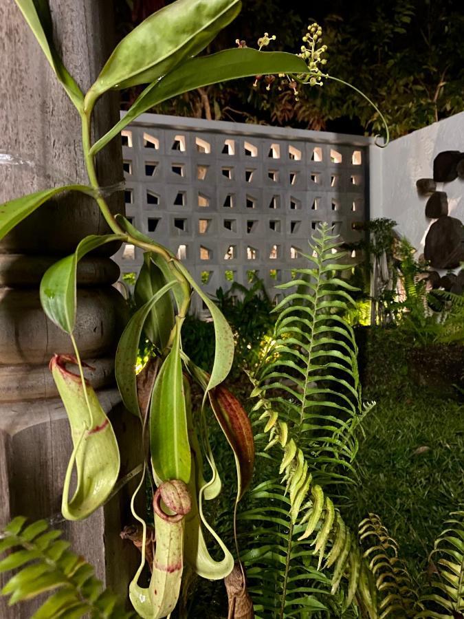 Ikiru 18 Private Saltwater Pool Villa, 3 Ensuite Br, Outdoor Bbq, 5 Mins To Beach Pantai Cenang  Buitenkant foto